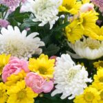 相続とイメージ画