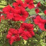 新事業開始を検討されている方へ