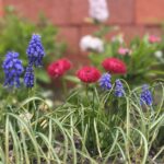 ストーカー規制法の禁止命令