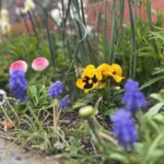 お花のさわやかな写真